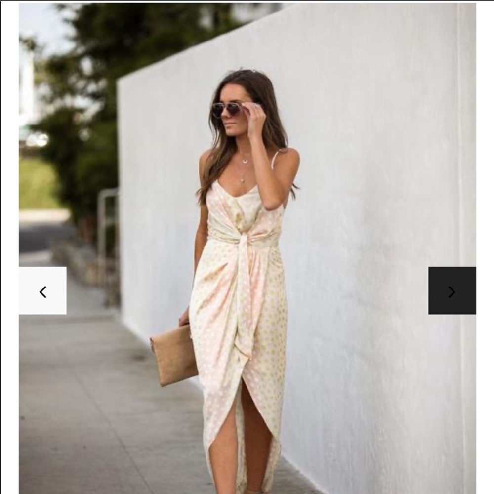 NWT VICI Blossoms Satin Polka Dot Tie Dress